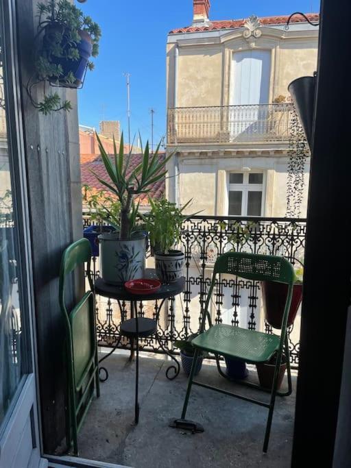 Appartement Le Montmorency 41 Authentique Et Cosy Centre Historique Proximite Parking Gratuit Sète